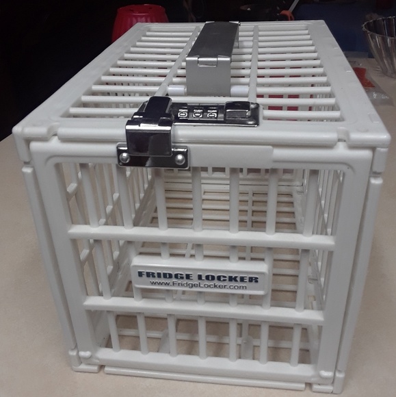 **SOLD** Refrigerator Locker - Food Security System - Picture 1 of 4